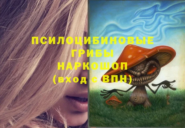 синтетический гашиш Алексеевка