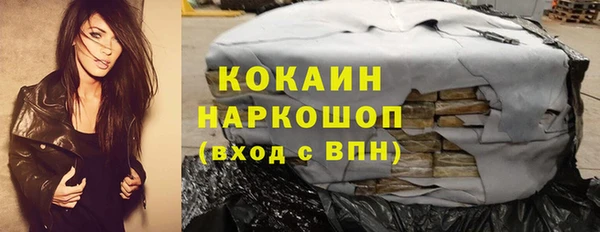 spice Алексин