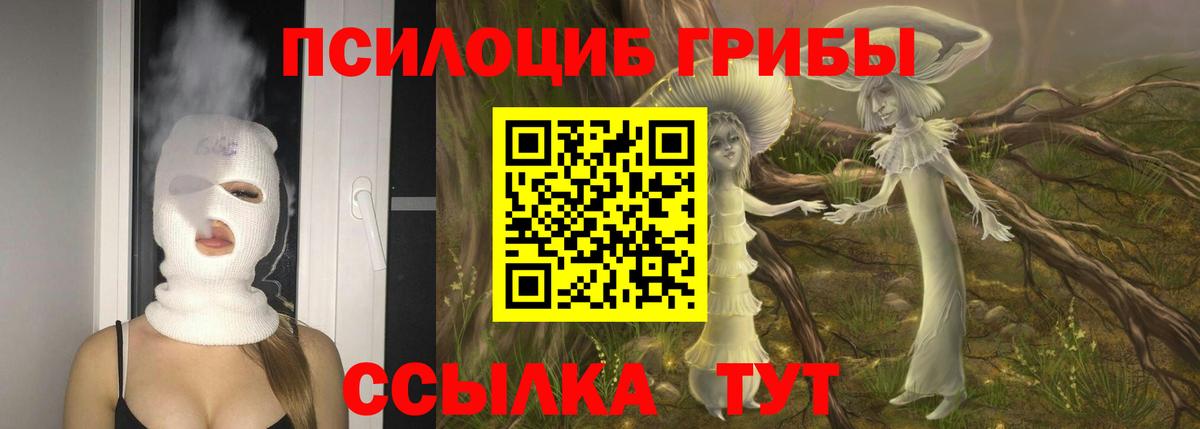 Псилоцибиновые грибы мицелий Североуральск