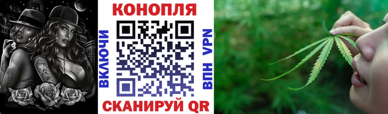 Шишки марихуана планчик  сколько стоит  маркетплейс наркотические препараты  Североуральск 